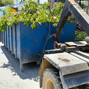 Commercial Landscaping & Debris Removal